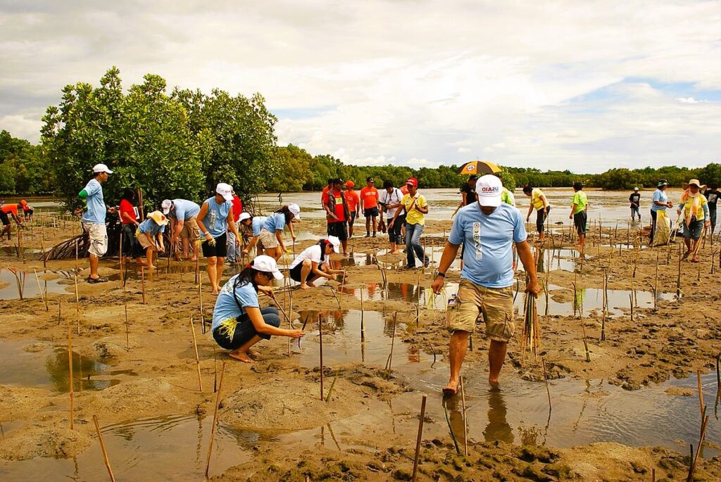 Adaptation Strategies for Climate